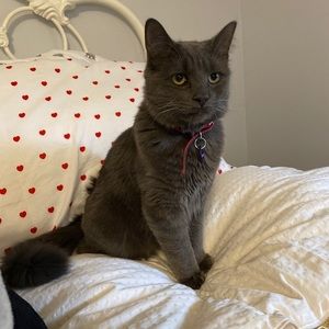 Meet your Posher, Nina